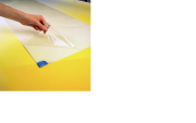 Economy clean room dirt trap carpet 115 x 60 cm. Packaging: 240 sheets /carton.