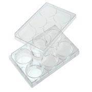 6 lyukú sejttenyésztő lemez fedéllel, kezeletlen, steril, egyesével csomagolt, 100 db / csomag